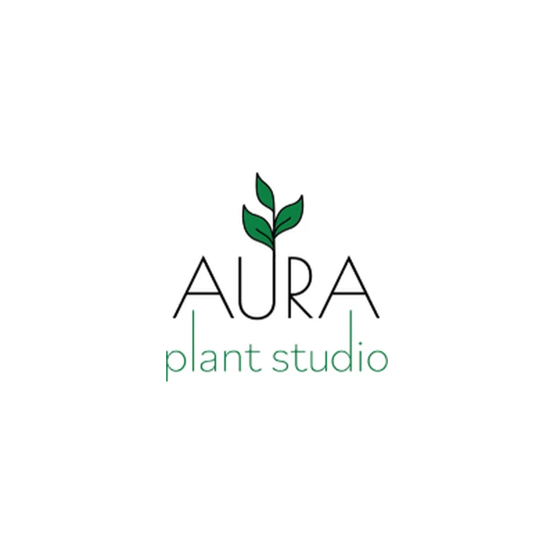 Aura Plant Studio — Other in Jacksonville