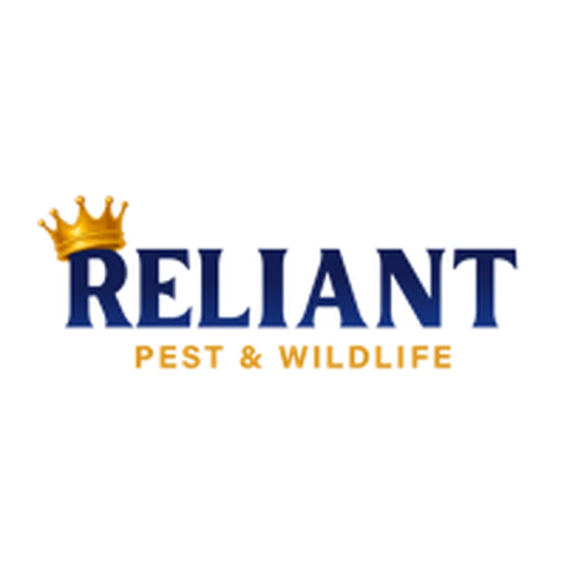 Reliant Pest & Wildlife
