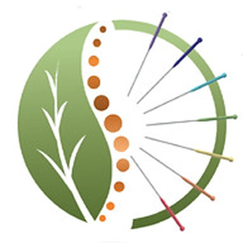 Fine Alignment Chiropractic & Wellness — Health in Kansas City